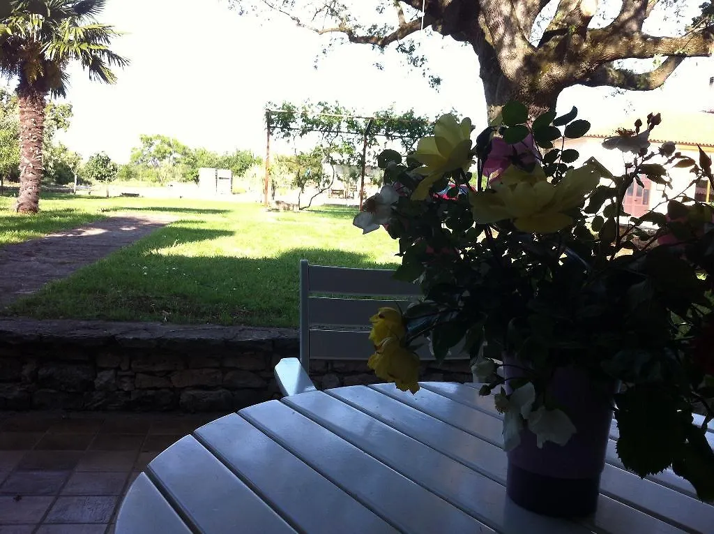 Maslina Apartment Umag